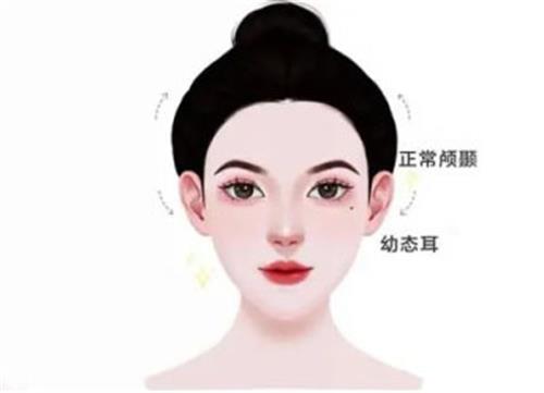 幼态脸的示意图 幼态脸的示意图