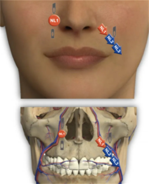 乔雅登去法令纹打法 乔雅登去法令纹打法