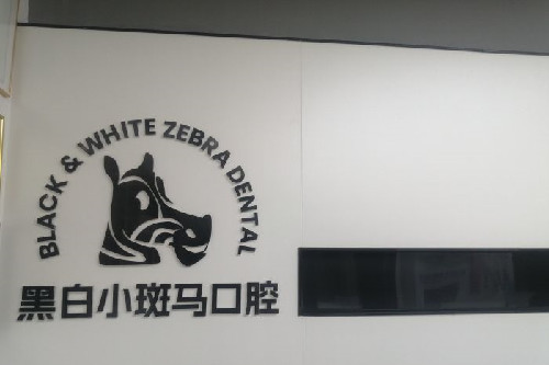 黑白小斑马口腔logo图