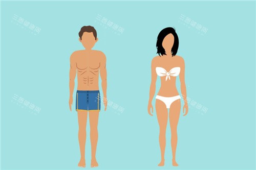 男性女性身材