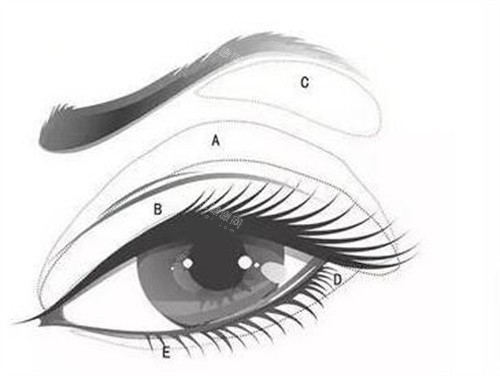 眉弓填充卡通图展示 眉弓填充卡通图展示