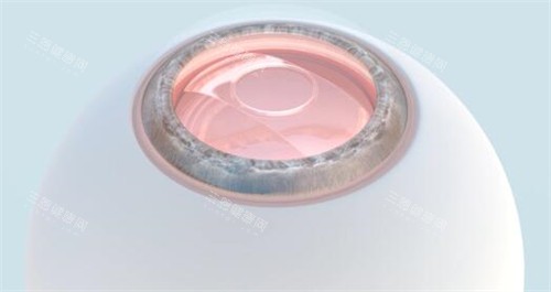 眼球展示图照片 眼球展示图照片