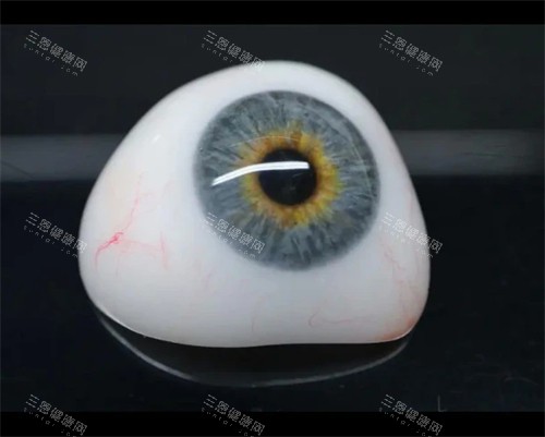 义眼展示图 义眼展示图