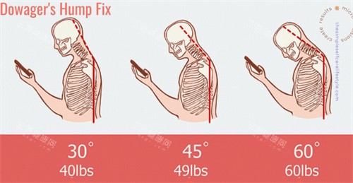 不同的富贵包 不同的富贵包