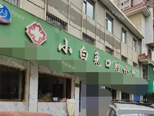 石嘴山小白兔口腔外观