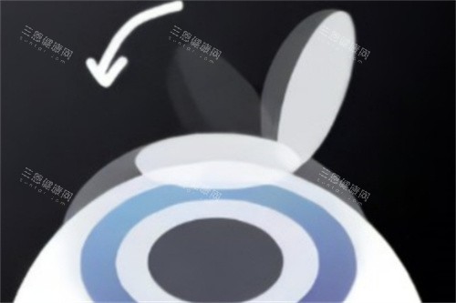 上海爱尔浦亮眼科医院挂号攻略！微信/官网/电话预约方式全知晓