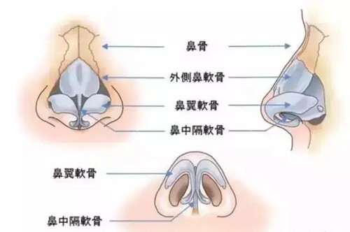 国内正规鼻整形医院价格指南：肋软骨VS超体隆鼻多方位对比！