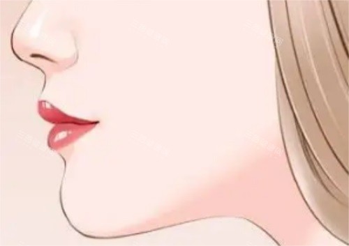 下巴示意图