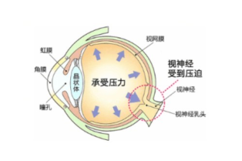中山大学中山眼科中心预约挂号全攻略，电话020-66607666，微信/APP/现场多种方式可选