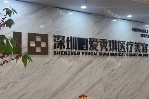 深圳鹏爱秀琪整形logo