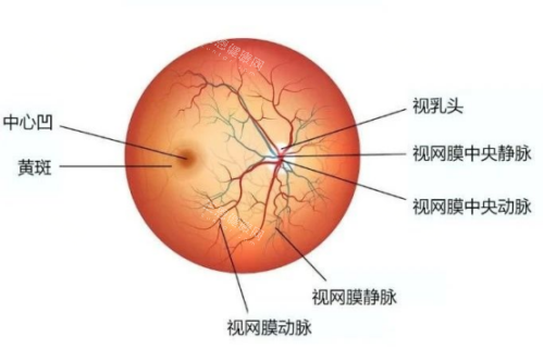 梅州爱明眼科是正规医院吗？各方面资质以及技术都很正规可以放心选择！