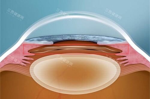 明水眼科医院网上预约指南：电话微信官网多渠道轻松挂号​