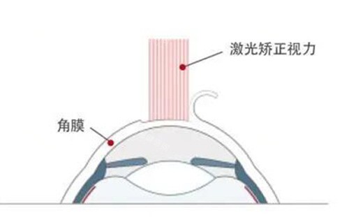 2026二院眼科收费价目表全公开！近视/白内障/配镜费用一目了然~