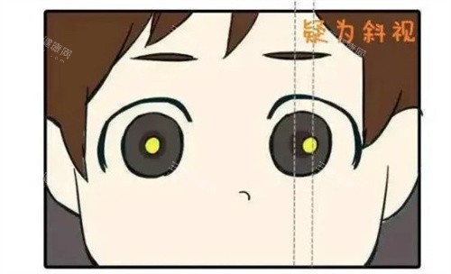 厦门医学院附属第二医院眼科怎么预约，预约热线电话/线上预约流程/到院预约服务查看！