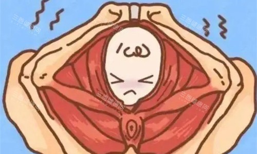 王建平团队口碑咋样？产后妈妈必看！圣母医院整形科私密护理/身材修复双管齐下！