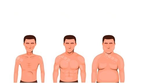 男性乳房肥大示意图