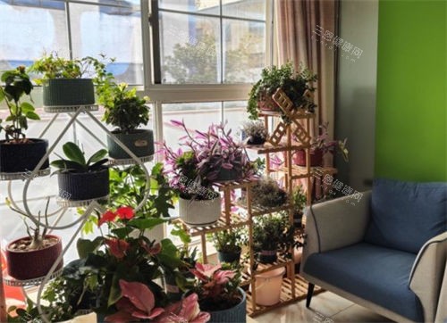 上海丽质等候区展示图