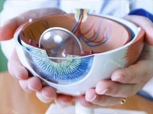 人工眼角膜手术多少钱？2025新参考：6类术式价格从2万到12万起不等，材料成本占比超60%！