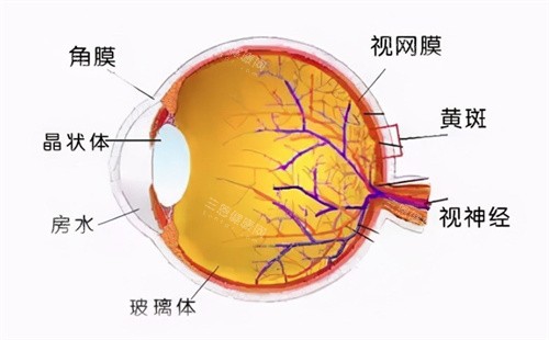 复杂玻璃体视网膜手术多少钱？3-5万元不等，目前可报销部分！