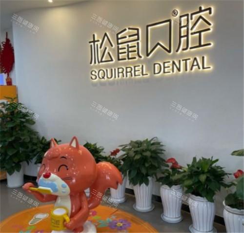 昆明松鼠口腔环境一角