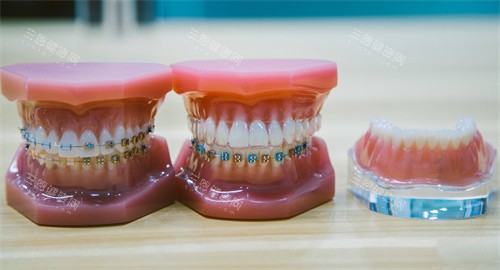 牙齿模型图片 牙齿模型图片