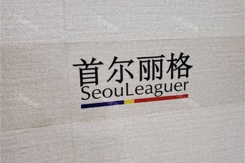 上海首尔 丽格医疗美容医院品牌图