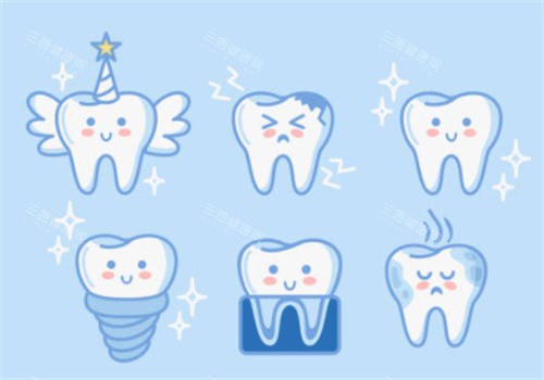 牙齿的各个形态图
