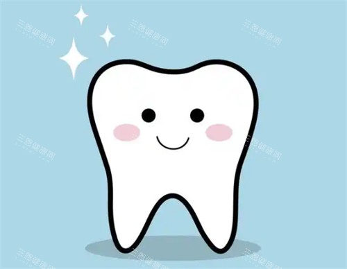 牙齿模拟图