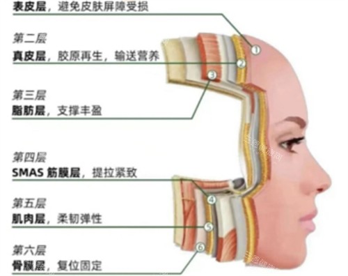 皮肤层次提升作用 皮肤层次提升作用