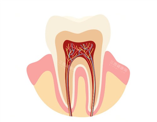 2025~2026鼎植口腔医院收费价格表查询，种牙矫正等项目价+口碑全解析
