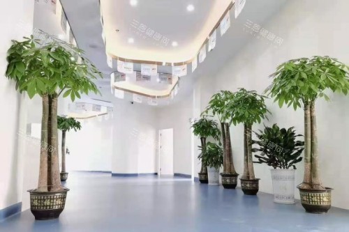 岳阳平江致远口腔内部环境 岳阳平江致远口腔内部环境