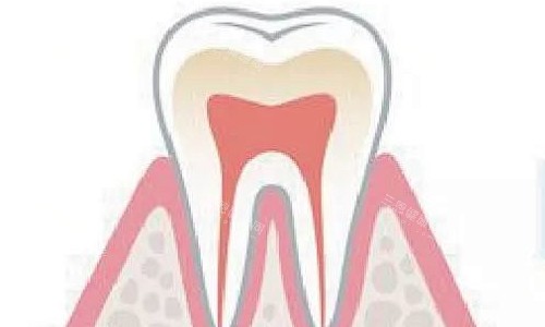 健康牙齿展示 健康牙齿展示