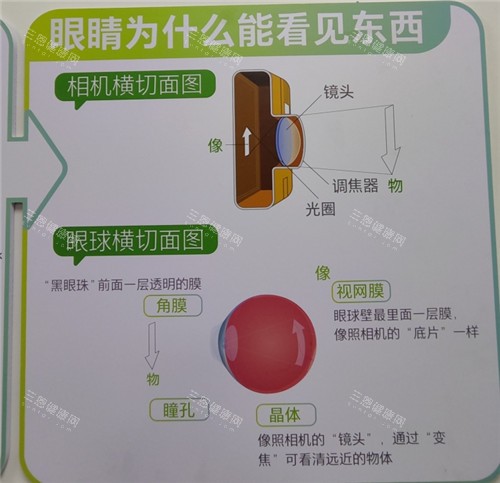 眼睛成像原理图解 眼睛成像原理图解