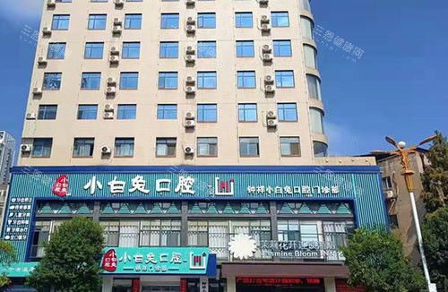 钟祥小白兔口腔大楼外景图 钟祥小白兔口腔大楼外景图
