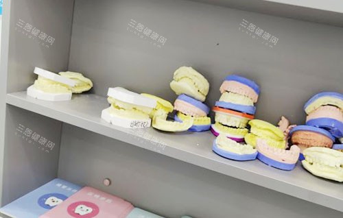 海口牙医森口腔牙齿模型实拍 海口牙医森口腔牙齿模型实拍