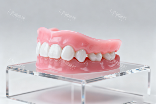 假牙模型一览图
