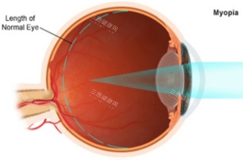 石家庄省二院24小时电话问询指南：0311号码速收藏，眼科急诊不再慌！