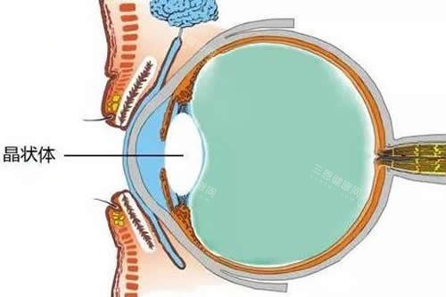 西京医院眼科挂号必看！线上16点抢第7天号，电话专线预约更便捷！