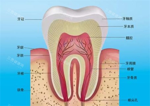 大连医科大学附属口腔医院2026价格表，种植牙集采4980起|儿童早期矫正4800起|博士团队手术放心