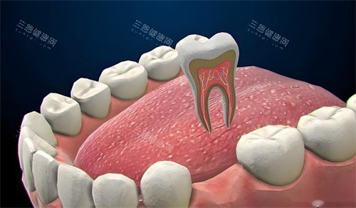牙齿卡通图片 牙齿卡通图片
