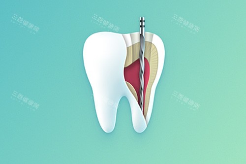 牙齿内部示意图