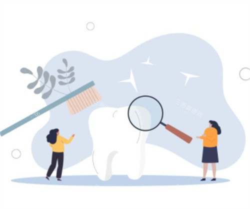 牙齿清洁示意图 牙齿清洁示意图