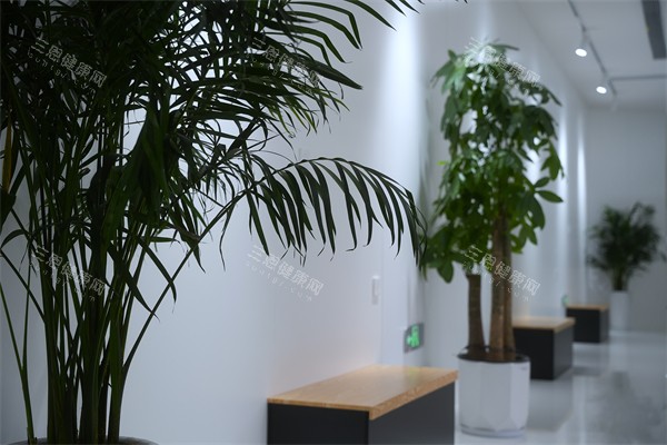 合肥茀莱堡口腔医院走廊环境